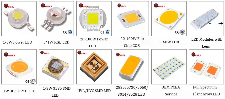 Dual Chips 3535 SMD LED Chip Diode 3W Infrared LED 660nm 850nm IR LED for IR Therapy Red LED Therapy Light